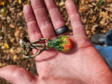 Brook Trout Fish Wag Pendant