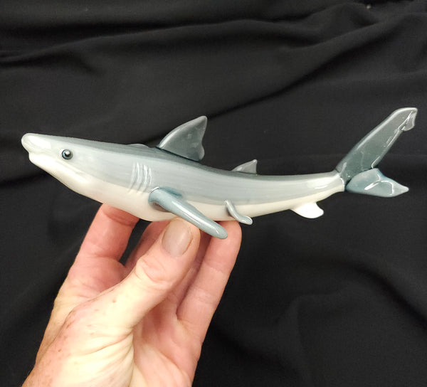 Bull Shark Dry